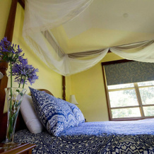 Bendles Cottages and Country Villas, Balmoral Ridge — photo 3