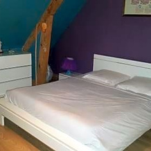 Chambre d'hôtes chez l'habitant, Montlouis-sur-Loire — photo 4
