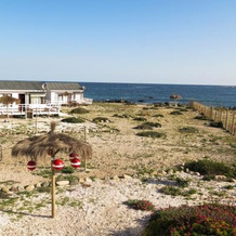 Refugio Humboldt, La Higuera — photo 4