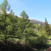 Appartement Lanslebourg-Mont-Cenis, 2 pièces, 4 personnes - FR-1-508-132, Val-Cenis — photo 3