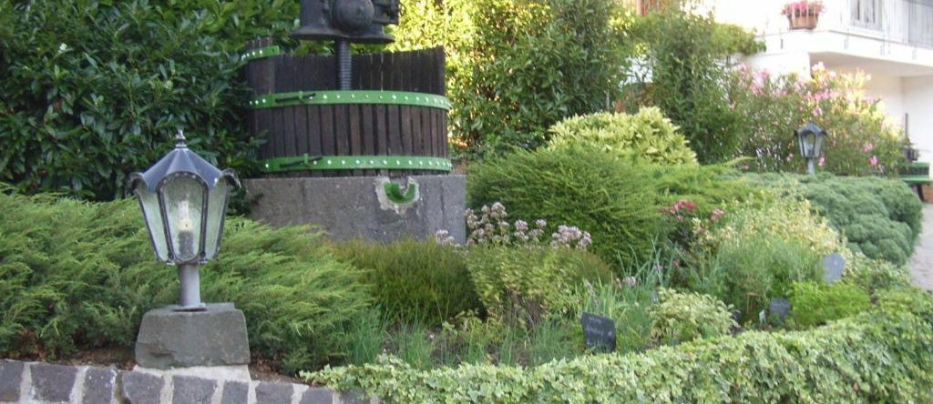Ferienweingut-Liebfried, 内伦 — 照片 1