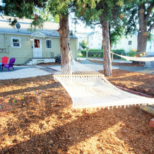 UNC Hideaway King Beds, Backyard & Bicycles, Greeley — photo 4