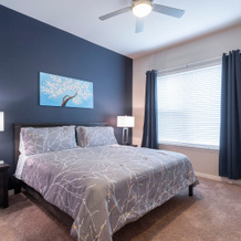 Elan Med Center 225 Apart-hotel, 休斯顿 — 照片 5