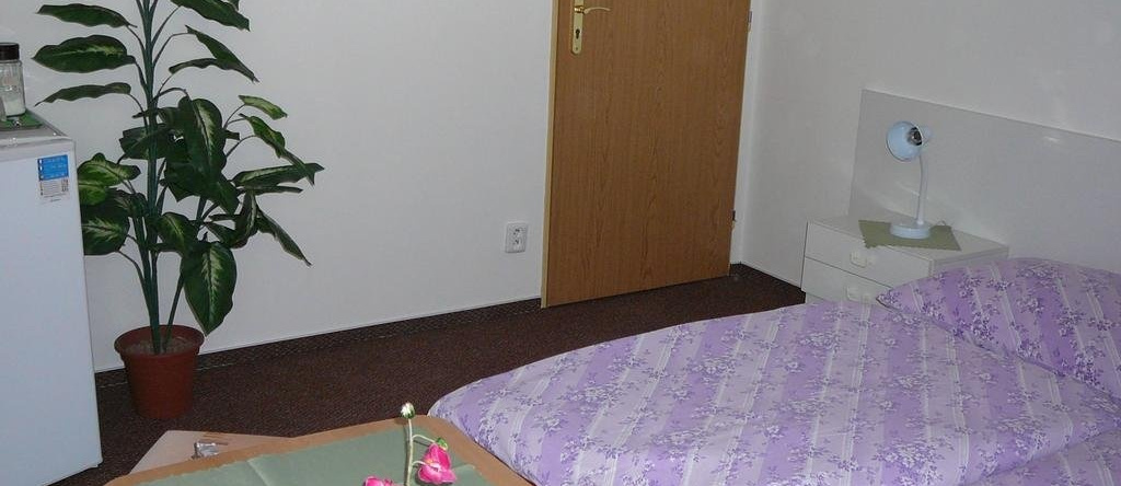 Hotel Pension u Mydlářů, 姆尼霍沃赫拉迪什捷 — 照片 1