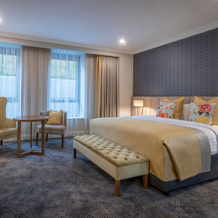 Castletroy Park Hotel Suites, Лимерик — фото 3