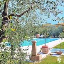 Agriturismo Monte Oliveto, 巴多利诺 — 照片 4