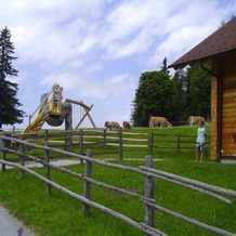 Ferienhaus Bichlhütte, 普吕格恩 — 照片 4