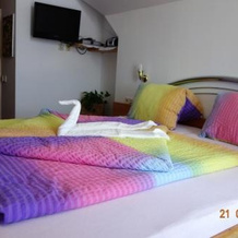 Urlaub am Bauernhof Unger, 格纳斯 — 照片 4