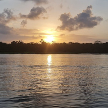 Hotel River View Tortuguero, 托尔图格罗 — 照片 4