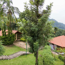 Marmalade Springs Resort, Vellamunda — photo 4