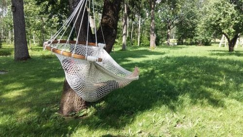 Viesu Māja Bāliņi, Икшкиле — фото 1