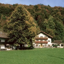 Gasthof Schönau, Erl — photo 4