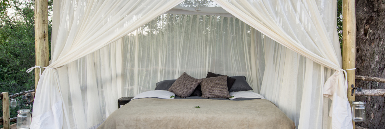 Garonga Safari Camp, Phalaborwa — photo 1