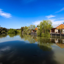 Perricoota Vines Retreat, 莫阿马 — 照片 5