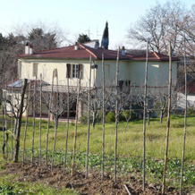 Valleantica Ospitalità Rurale, 泰里乔拉 — 照片 5