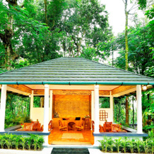 Wayanad Coffee Trail Resort, Vellamunda — photo 2