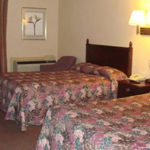 Superlodge, Кингстон — фото 5