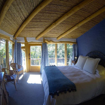 Tree Lodge Nidos de Pucon, Pucon — photo 3
