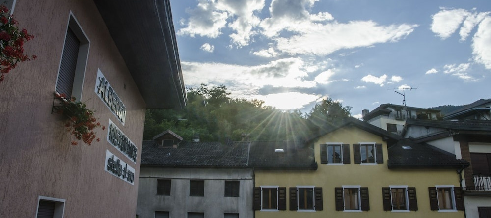 Stella d'Oro, Lamon — photo 1