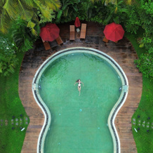 Palm Garden Ayurveda Resort, 阿汉加马 — 照片 2