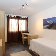 Swiss Lakeview Apartment, Беатенберг — фото 4