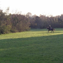 Agriturismo al Ranch, 阿维亚诺 — 照片 5