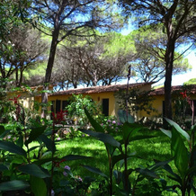 14 Ala Birdi Cottage 150m From The Beach, 阿尔博雷亚 — 照片 2