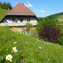 Oswaldenhof V Hrenbach, Фёренбах — фото 5