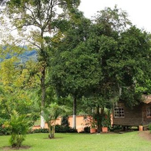 Eco Hotel Bosque Verde, Энвигадo — фото 2