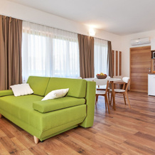 B&B Apartments Buric Plitvice Lakes, Селисте Дрезничко — фото 5