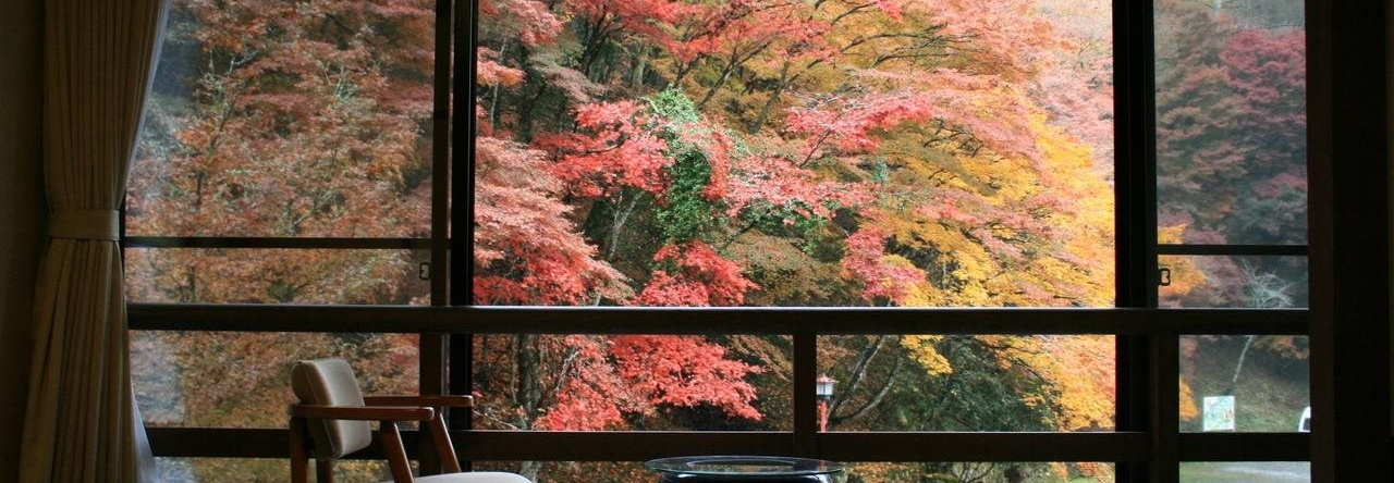 Ueyama Ryokan, Химедзи — фото 1