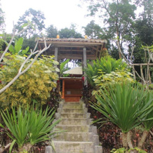 Bali Tree House Pelangi, Батурити — фото 2