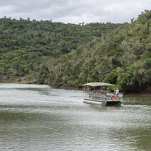 Kariega Game Reserve - Main Lodge, Кентон-он-Си — фото 5