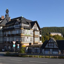 Weißer Hirsch, Шварцбург — фото 5