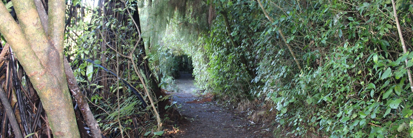 Waitomo Caves Guest Lodge, 怀托摩萤火虫洞 — 照片 1