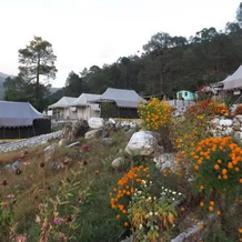 Camp Nirvana Yamunotri, Uttarkashi — photo 5