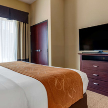 Comfort Suites Airport South, Монтгомери — фото 4