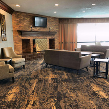 Radisson Hotel Niagara Falls-Grand Island, 格兰德岛 — 照片 4