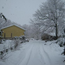 Agriturismo Montepereto, 格罗特迪卡斯特罗 — 照片 4