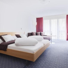 Hotel Hv Fli, Altdorf — photo 4