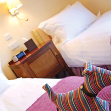 Ilsington Country House Hotel & Spa, Илзингтон — фото 3
