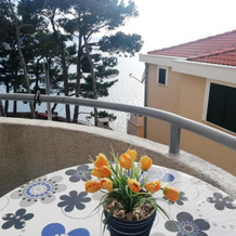 Apartments Villa Jelas, 日沃伊什切 — 照片 5