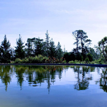 Tarn Country House, 库尔兰 — 照片 5