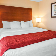Comfort Inn & Suites Near Fallon Naval Air Station, 法伦 — 照片 3