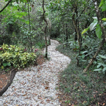 Pousada Spa Prana Lorien, Ouro Preto — photo 4