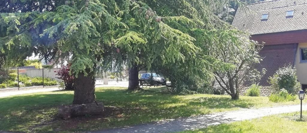 Spacieux et cosy F2 de 65m2 proche Strasbourg, Ittlenheim — photo 1