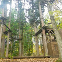 Labo Land Kurohime, 信浓 — 照片 2