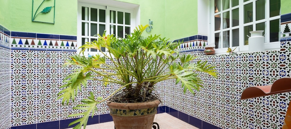 HomeLike Rustic House Güímar, 吉马尔 — 照片 1