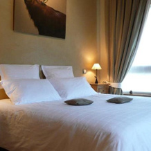 Chambre Dhtes La Forestire, Ле-Оуо — фото 4
