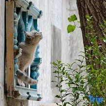 Silk Road Promise Homestay（Ancient City Of Kashgar), Кашгар — фото 5